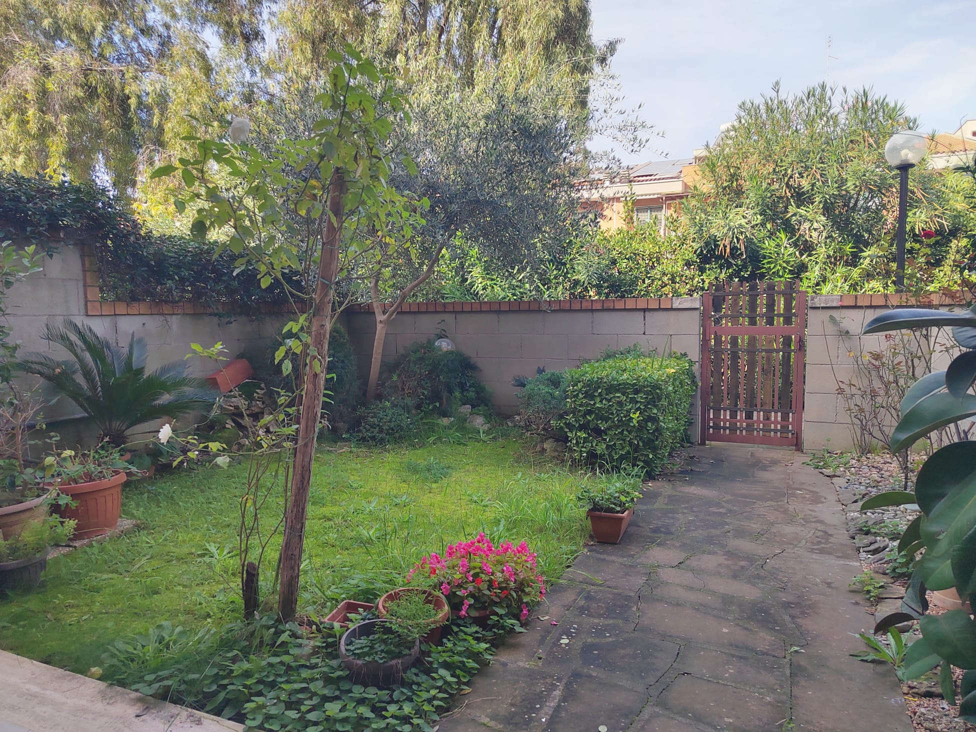 Giardino